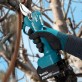 Makita DUP181Z sekatorius Makita DUP181Z sekatorius